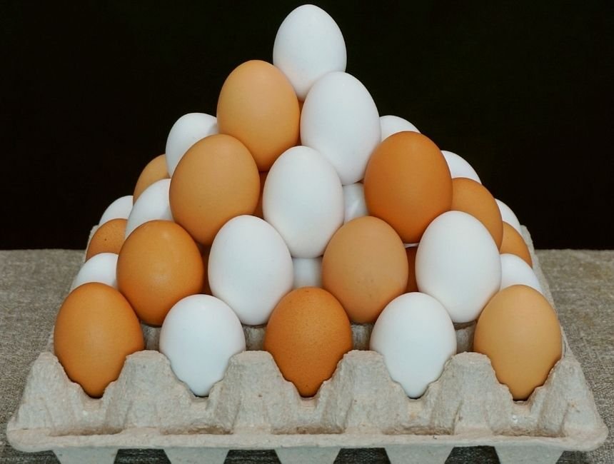Egg